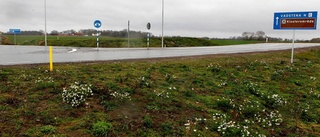 Fortsatt strid i Vadstena om förbifart