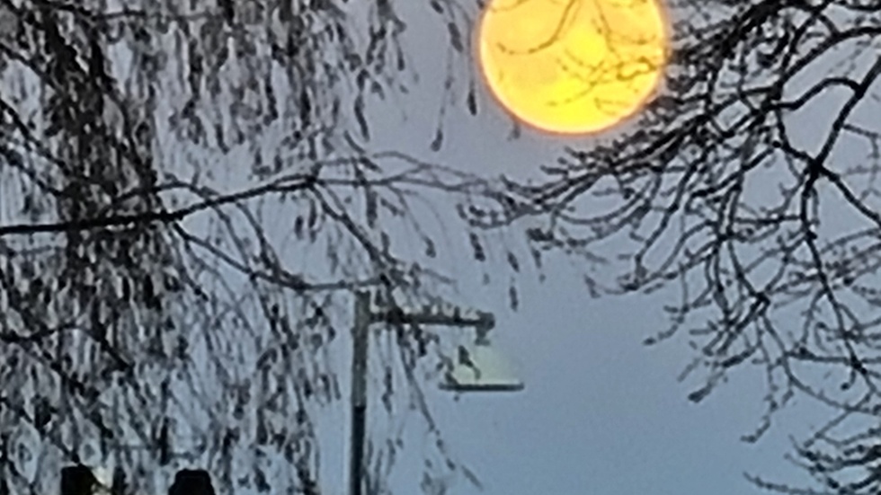 Dagens läsarbild.