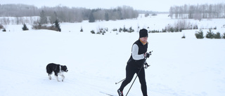 MVT gav sig ut i spåren och träffade skidåkare 