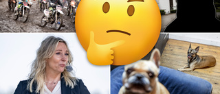 Dags för månadens lokala nyhetsquiz – tävla om trisslotter