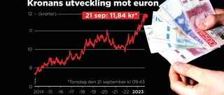 Riksbanken: Spekulation bidrar till kronfall