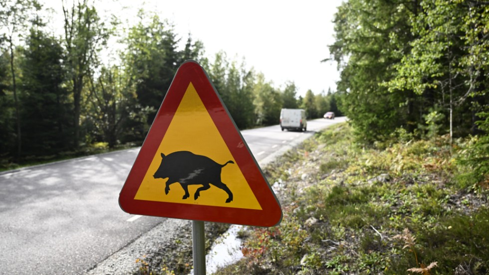 Smittan verkar hålla sig inom det avspärrade området. Arkivbild.