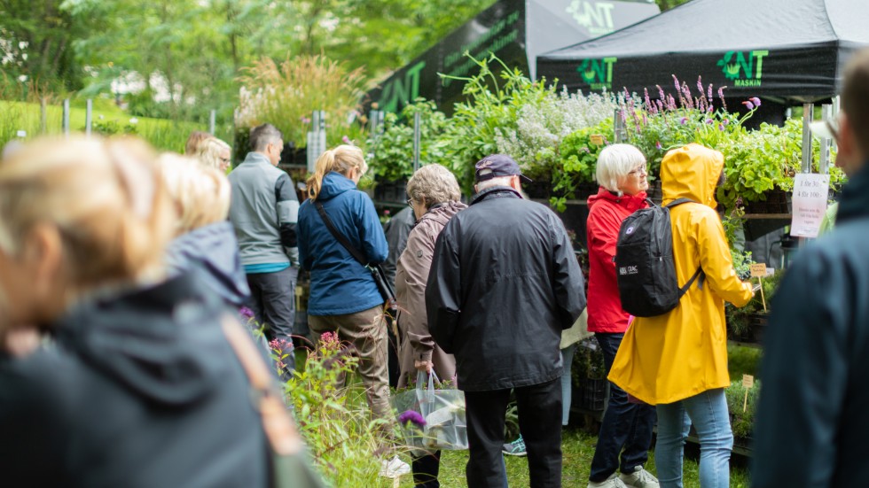 I Skolparken var det fullt med folk som gick på trädgårdsmarknad, både för att handla och bli inspirerade.