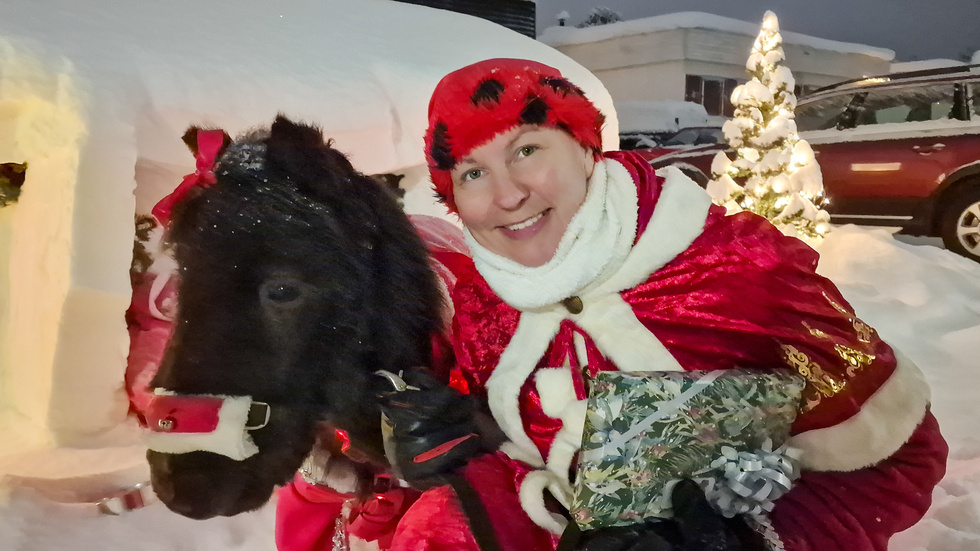 Tomtemor Maria Nilsson och minishetslandsponnyn Prinsen, tre år. 
