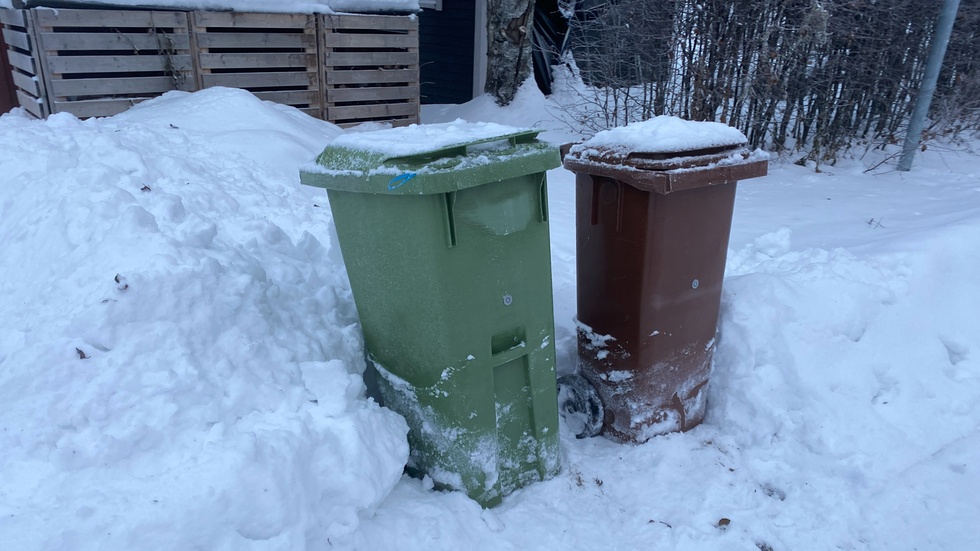 Om man sorterar rätt så bör en familj på fyra personer som bor i villa inte ha ett fullt kärl vid tömningen, enligt Pireva.
