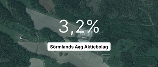 Så gick det för Sörmlands Ägg Aktiebolag 2022