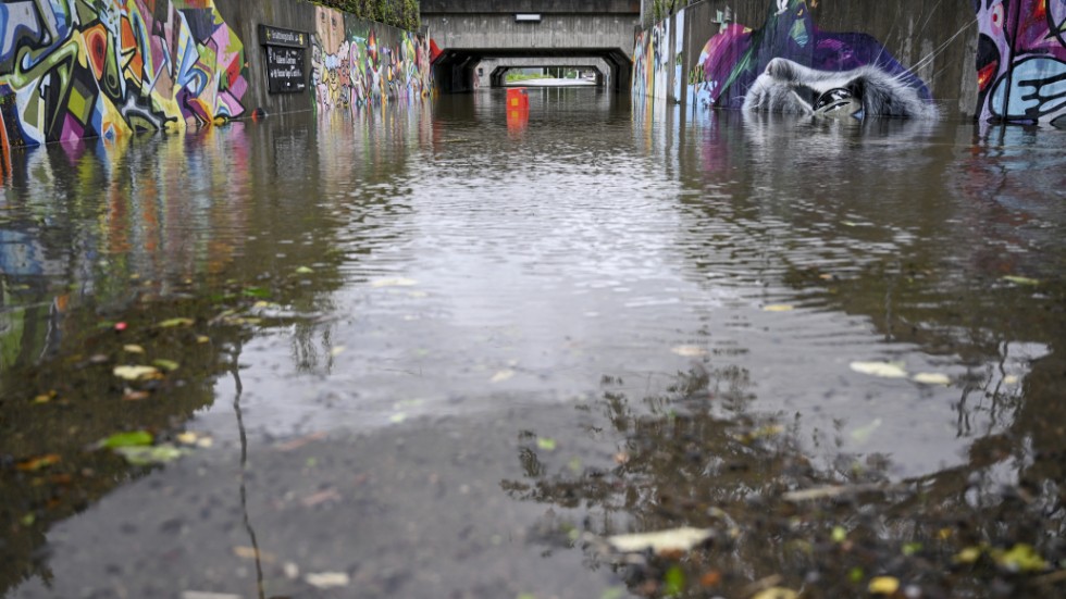 Översvämningar, skogsbränder och stormar blir allt vanligare och kommunerna behöver jobba mer med klimatanpassning för att klara av extremväder, menar skribenterna.
