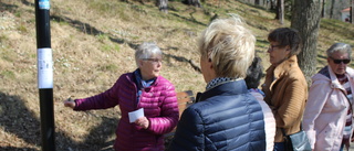 PRO hade premiär i Vibjörnsparken