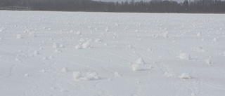 Hela Infjärden är full av snörullar • "Jag tänkte vad fasiken är det här"