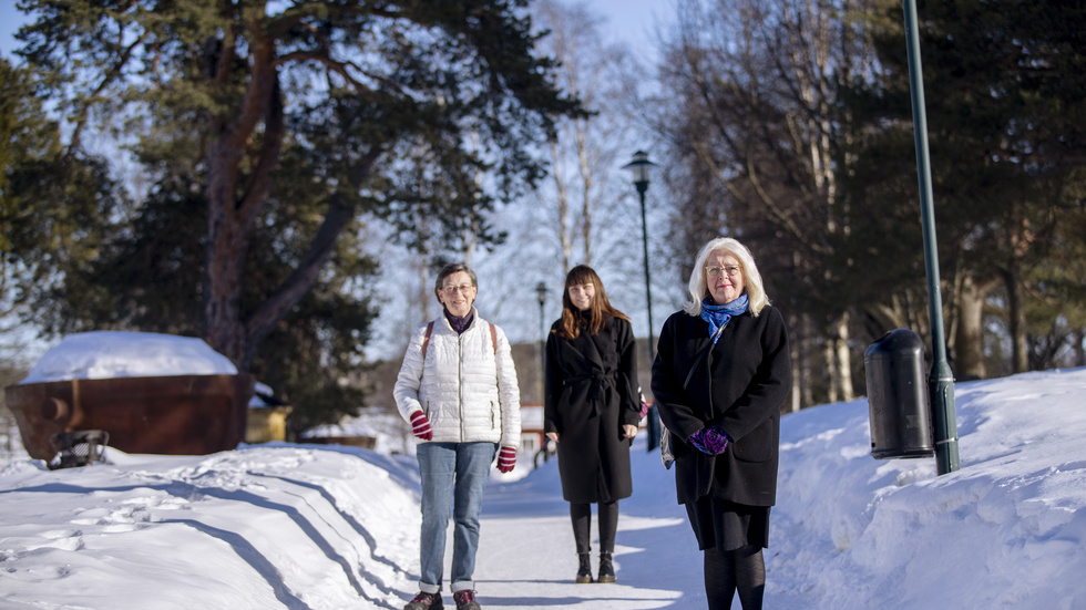 Eva Engman, Emelie Skeppar och Mildred Eriksson från Kvinnojouren Iris. Arkivbild.