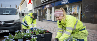 De får centrum att blomstra till påsk