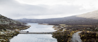 Låt laxen bidra till att rädda Norrbotten