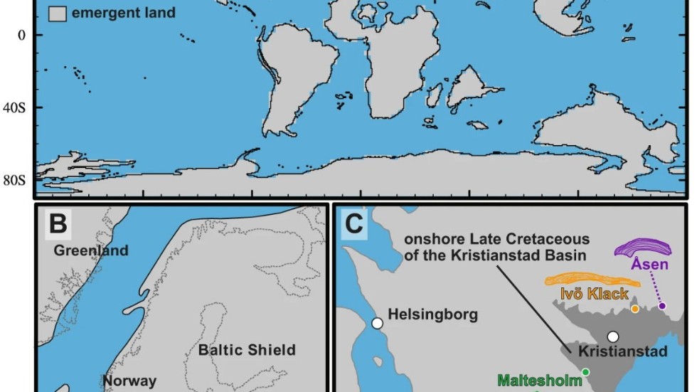 Jordens geografi för 78 miljoner år sedan, i en illustration som publicerats med studien. Det mörkgrå området på bilden i nedre högra hörnet är det som kallas Kristianstadsbassängen.