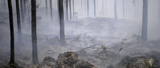 Utbilda svenskarna i brandskydd