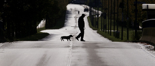 Vanvårdade hunden - nu får han djurförbud