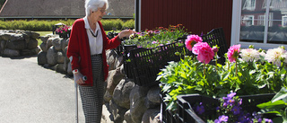 De packade bussen full med blommor: "Underbart"