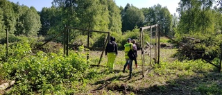 Farliga föroreningar hittade i marken: "Oacceptabelt"