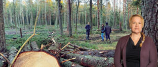 Norrbotten behöver skog, inte fler naturreservat