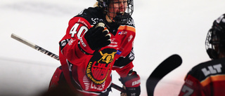 Brynäs och Luleå med var sin fot i SM-finalen