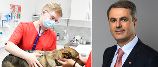 Näringsministern om veterinärbristen