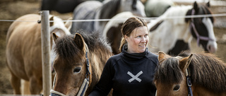 Arvet gav modet att satsa • Rebecca sadlade om: "Jag ville starta egen ridskola"