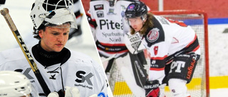 Clemensnäs värvar etablerad toppback – hämtas in från topplaget i Hockeyettan: "En back man hatar att möta på träning"