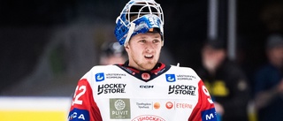 VIK lånar ut målvakten till SHL-klubb