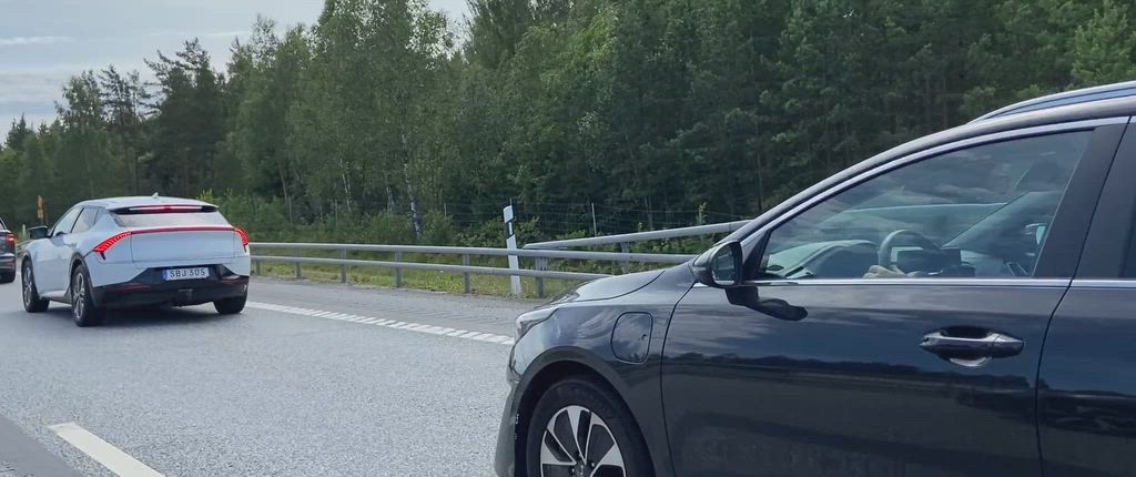 Jätteköer vid E20-avfart