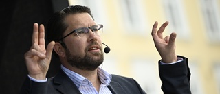 Åkesson: S skyller ifrån sig hela tiden