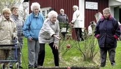 Stenkul i Bruksparken