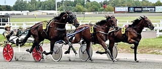 Expertens bästa drag inför lördag: ”Kan vara guld värt”