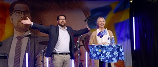 Åkesson: Aldrig varit så nära regeringsmakten