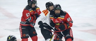 Lyckad helg för Brynäs – häng på Luleå