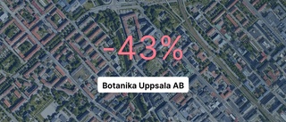 Vild tillväxt för hotellföretaget Botanika – steg med 70,6 procent