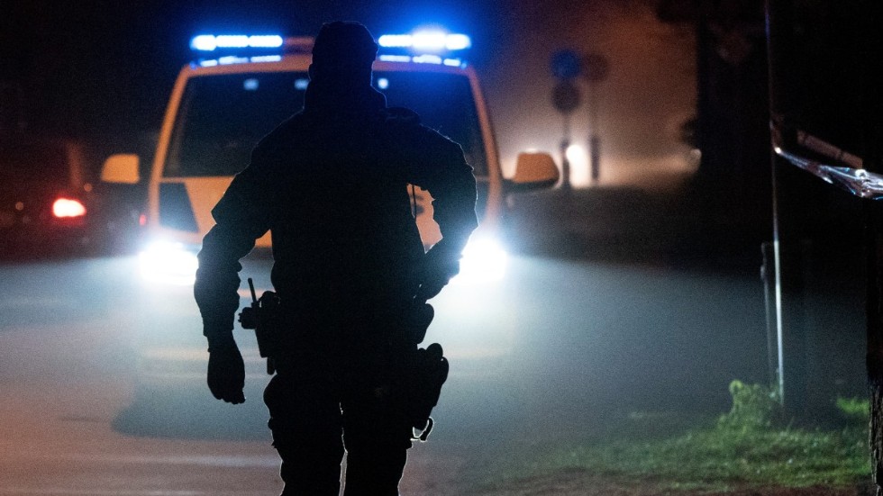 Poliserna såg hur en man sprang in i ett skogsparti.