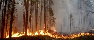 Brandrisk på kritisk nivå