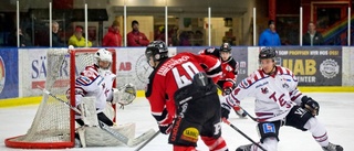 Drömstart för Piteå Hockey – avgörande i sudden death