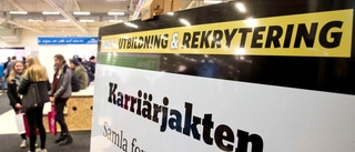 Rekordhög företagsamhet i norr