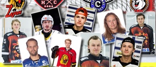 Toppklass – sex spelare får full pott: ”En av seriens allra bästa” • Betyg på alla i hockeytvåan