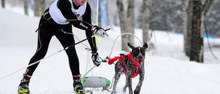 Fullt pådrag i backen