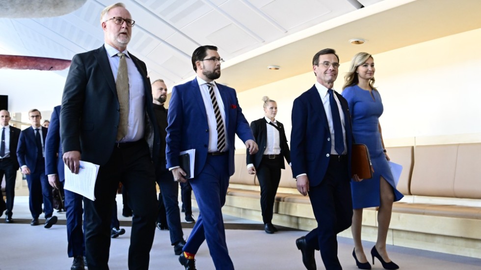 Regeringen, med stödparti, verkar vara ett spretigt lag som drar åt olika håll.