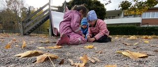 Hundbajs och vandalisering på förskolan – Klara, Ebba och Klea: "Vem vågar släppa in hunden på våran gård?"