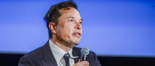 Musk: Rösta på Republikanerna