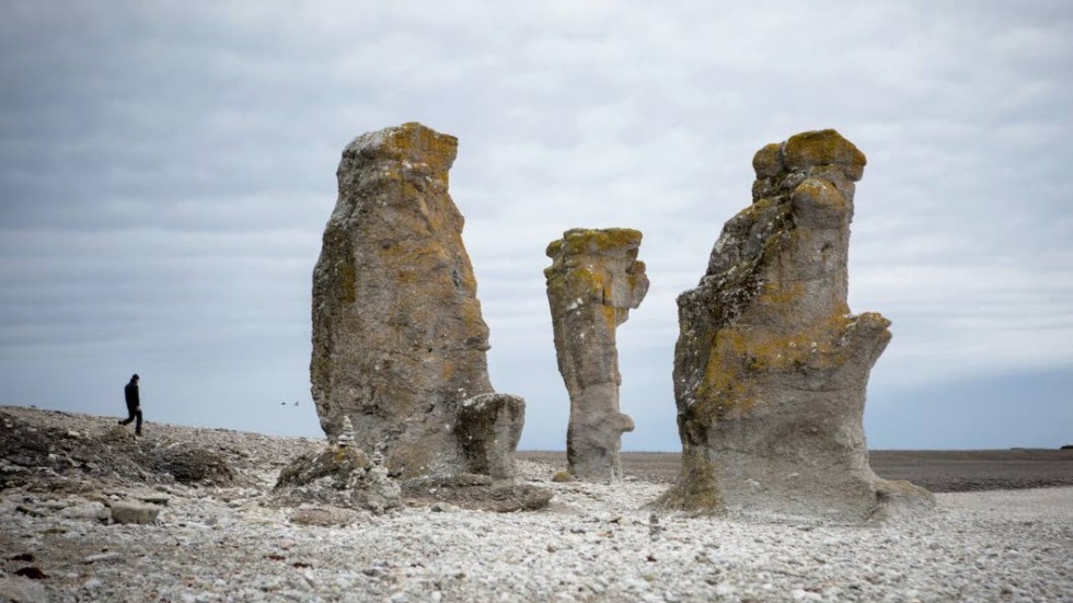 Langhammars på Fårö, ett av de mer kända raukområdena på Gotland.