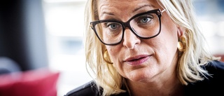 Moderaterna en garant för utveckling