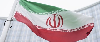 Iran plockar ned kameror vid kärnanläggningar