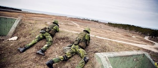 "Liten tant i stuga" skulle försvåra för Försvarsmakten