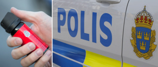 Polisen tvingades använda pepparspray under kaosartat lägenhetsbråk – man greps med hammare i handen