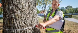 Johan har koll på träd i tusental