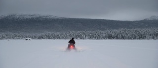 Tre gripna för skoterstöld